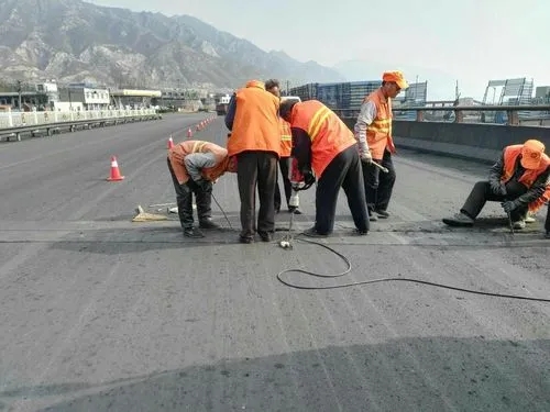 青山湖道路桥梁病害治理